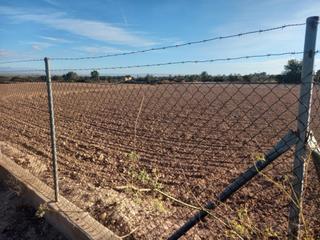 Finca rústica en Centro. Venta parcela agricola