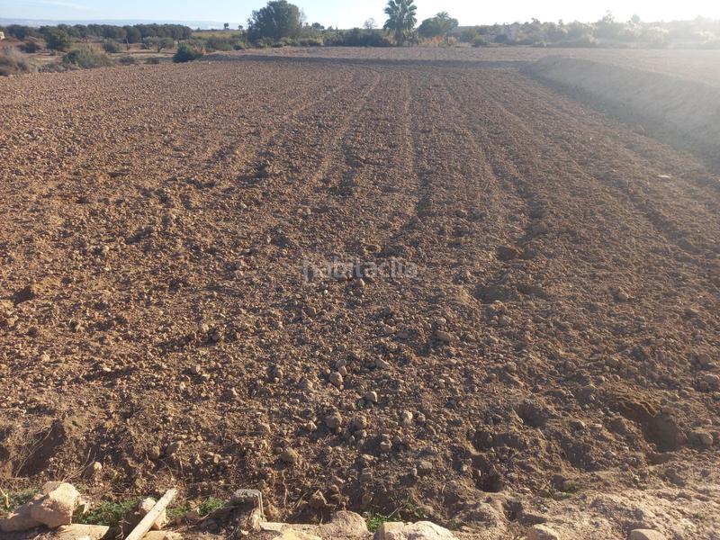 Foto 71cba3be-b24b-412d-a3a7-89f60a8f7a08. Propriété dans Centro Elche / Elx