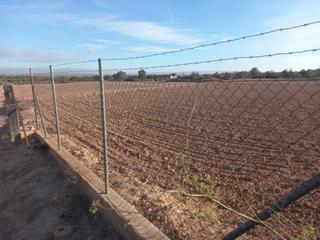 Finca rústica a Centro. Venta parcela agricola