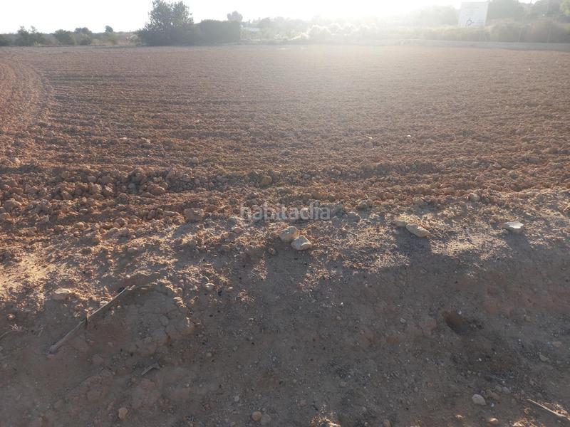 Foto b79bdd7e-b75f-451e-9a8c-6294ec09a63f. Propriété dans Centro Elche / Elx