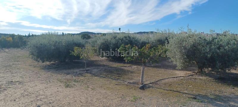 Foto 02b561d9-1872-423d-8672-eef28f112d88. Chalet avec piscine dans Pedanías Este Aspe