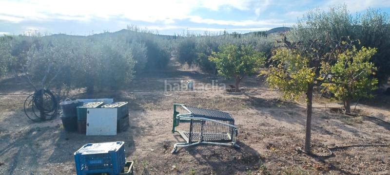 Foto 3d0b5adf-72f4-4971-8da8-ca669879d55d. Chalet avec piscine dans Pedanías Este Aspe