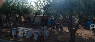 Xalet a Pedanías Este. Casa de campo en aspe