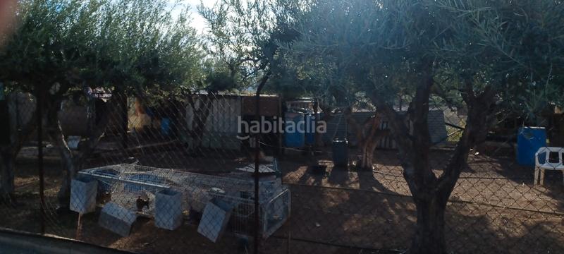 Foto 5c793c29-a42e-4a40-bef4-81a35efbffcb. Chalet avec piscine dans Pedanías Este Aspe