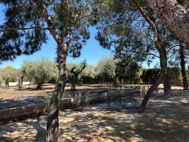 Foto d6dfea05-2165-4d4b-b4da-c3455522e2b2. Xalet amb piscina a Torrellano Elche / Elx