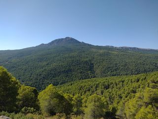Terreny residencial a Moratalla. Extraordinaria finca rústica de más de 81 hectáreas en moratalla
