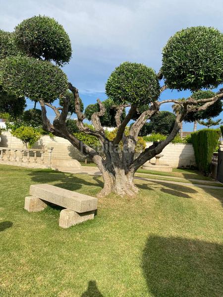 Foto ae1a1e57-2d80-4722-b47b-06878cb6ca70. Chalet mit heizung parking pool in Coma-ruga platja Coma-ruga