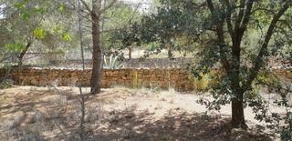 Rural plot  Avinguda de joaquim mir. Terreno en venta de 10.502m2, totalmente vallado y con dos edifi