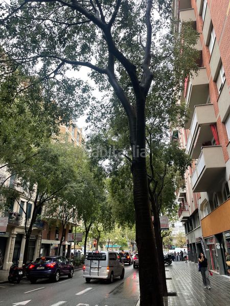 Foto 033865ff-cf78-42cb-b4e0-578cb07a37fc. Flat in entença 12 in Sant Antoni Barcelona