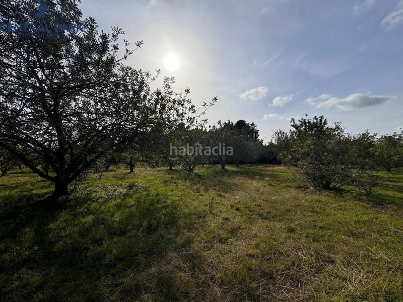 Foto 0cf2db98-b79b-40e8-9841-c41413682dee. Masia amb calefacció aparcament piscina a Mestral Reus