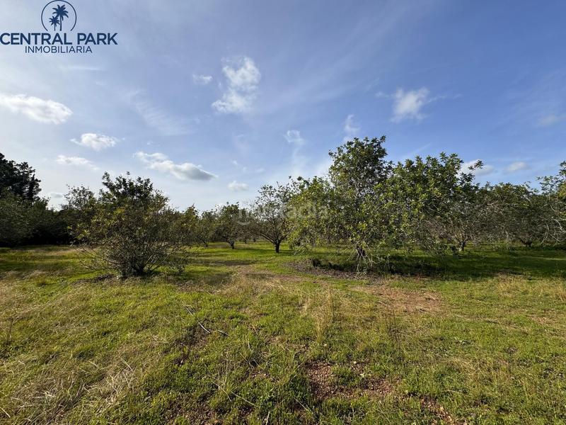 Foto 97babf62-3f35-4a21-84eb-04779cdf4191. Masia amb calefacció aparcament piscina a Mestral Reus