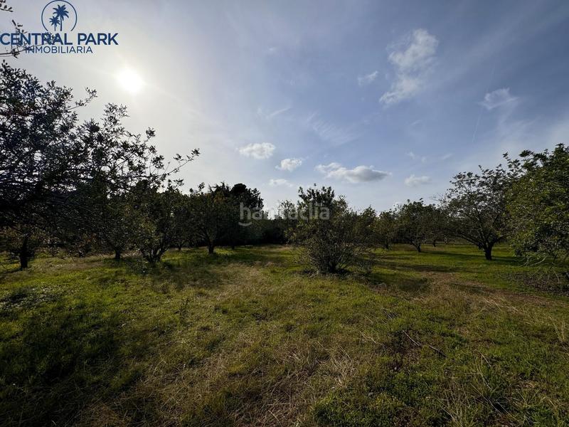 Foto ac439849-758a-4146-8259-ad3279a51179. Masia amb calefacció aparcament piscina a Mestral Reus