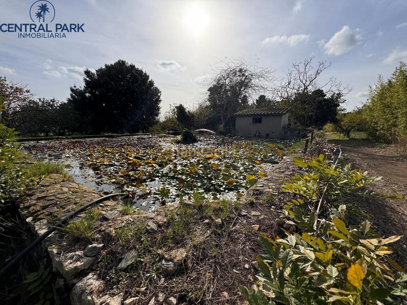 Foto e87bd823-e67b-46f7-886f-4c6ee22a5f27. Masia amb calefacció aparcament piscina a Mestral Reus