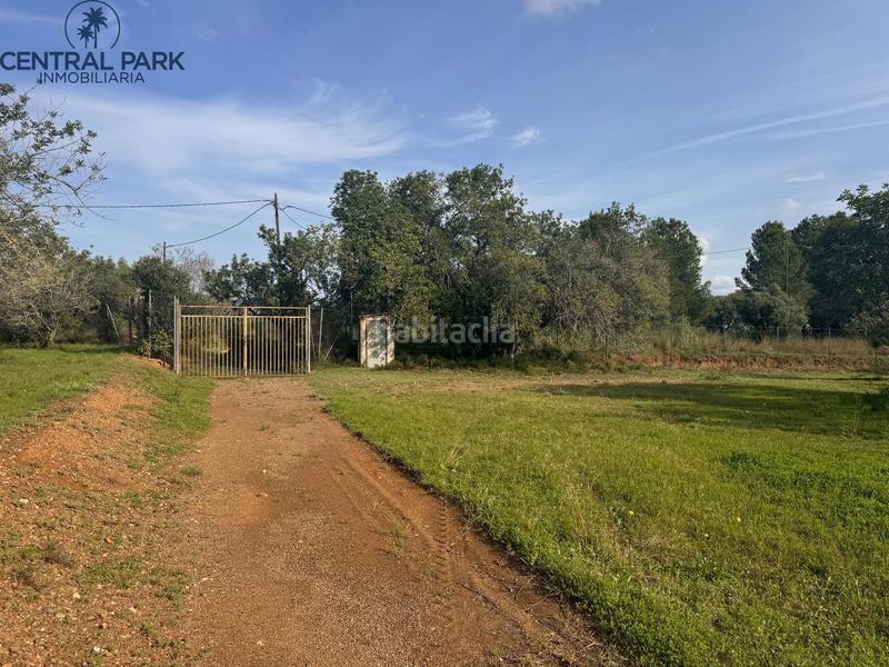 Foto ee6469eb-833d-4df9-979e-c5ba565cf793. Masia amb calefacció aparcament piscina a Mestral Reus