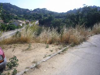 Residential Plot  Avinguda dels arbres. Parcela edificable