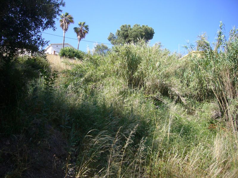 Foto 8b80e12e-e1b6-4dac-bc9f-31d35cd38d86. Terreno residencial parcela edificable en Palafolls