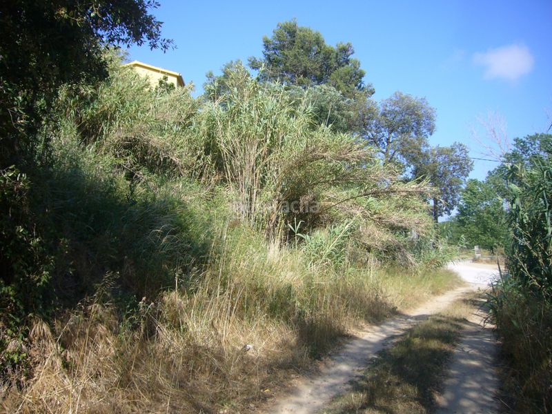 Foto 90c2ffb8-02ea-4a00-bf50-30f32cccd1af. Terreno residencial parcela edificable en Palafolls