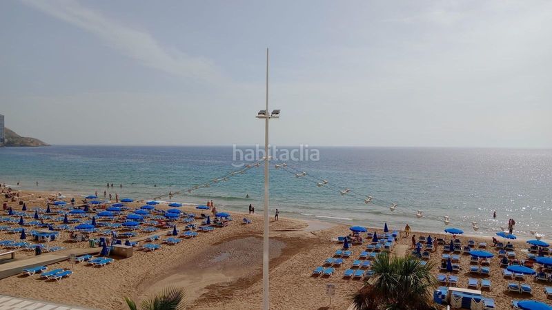 Foto c12cab2e-1442-4f58-ba18-391badf98be0. Pis a Playa Levante Benidorm