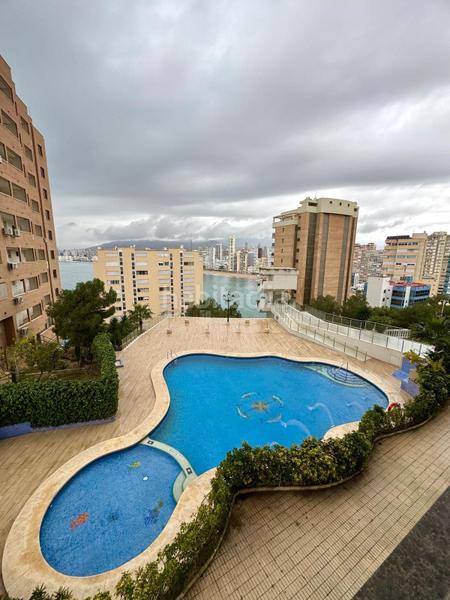 Foto b9c57174-a431-4838-8d2a-a3c04646803e. Piccolo appartamento con riscaldamento piscina in Benidorm