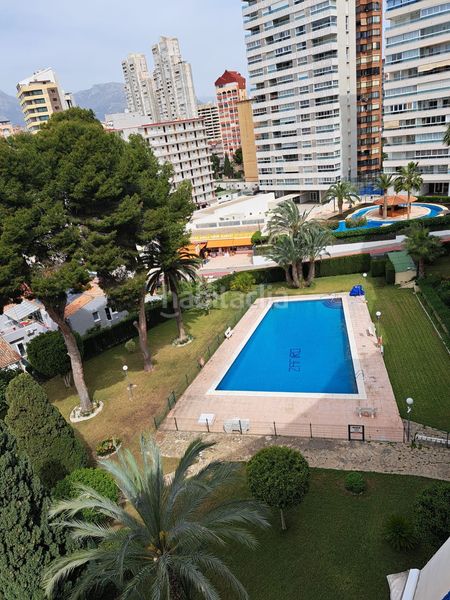 Foto 5147b693-ceca-4bea-88d8-bf3d73cd32ef. Pis amb piscina a Rincón Alto Benidorm