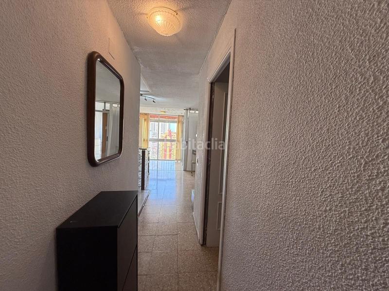 Foto 563a699a-b498-416e-ae07-475f533ffbd5. Piccolo appartamento con piscina in Rincón Alto Benidorm