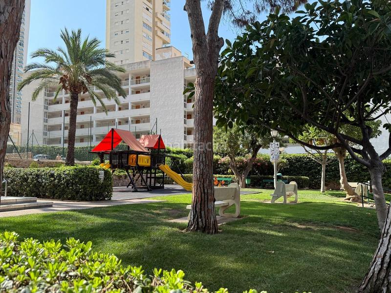 Foto 793b7a82-8334-4960-bf0a-36c36fe9e476. Piccolo appartamento con piscina in Rincón Alto Benidorm