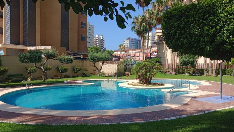Foto 6b452506-c35a-4a1e-b8bb-61ed7a31a12c. Apartament amb piscina a Playa Levante Benidorm