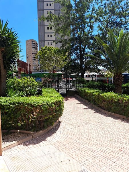 Foto a67568ca-8d57-4e77-9795-e17337dfea1d. Pis amb calefacció piscina a Levante Alto Benidorm