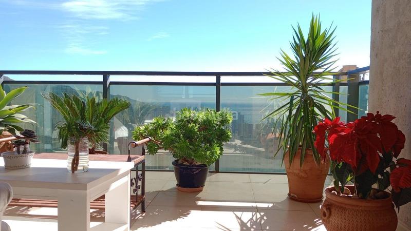 Foto a77141aa-7c14-4580-8200-1fed9f37a595. Apartament a Juzgados - Plaza de Toros Benidorm