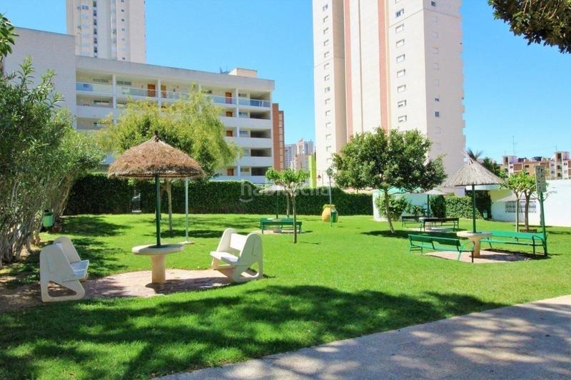 Foto 13bea9ee-0d47-4de7-8581-5bf3c411d66e. Studio avec piscine dans Rincón Alto Benidorm
