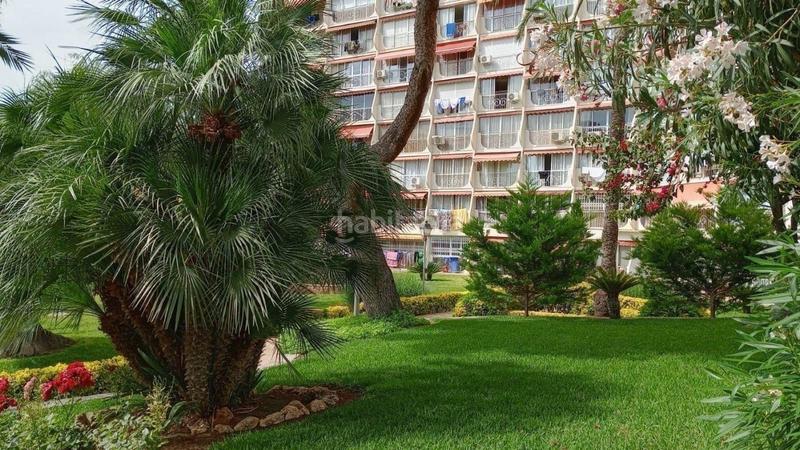 Foto 1adb6550-3fd0-4c9d-9436-ed0b29f30130. Studio avec piscine dans Rincón Alto Benidorm