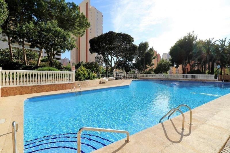Foto 2781cef7-63e5-45fc-82c2-62bff7123369. Studio avec piscine dans Rincón Alto Benidorm