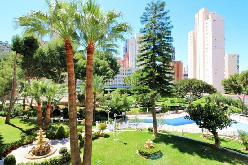 Foto 3eeab344-10c8-4678-a5cc-89d194846742. Studio avec piscine dans Rincón Alto Benidorm