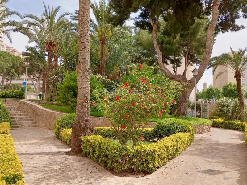 Foto d50a9389-a687-44db-aed4-e9a34b34ceea. Studio avec piscine dans Rincón Alto Benidorm