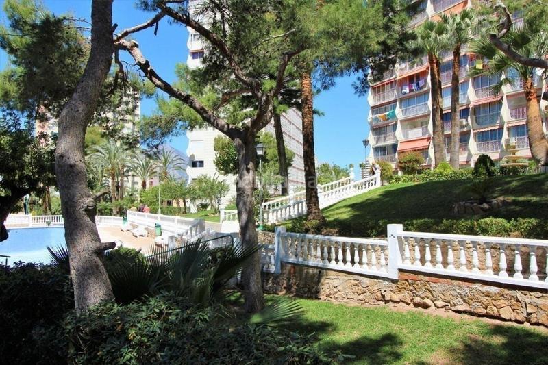 Foto f53d7031-d3f8-430d-aadb-efac228661cf. Studio avec piscine dans Rincón Alto Benidorm