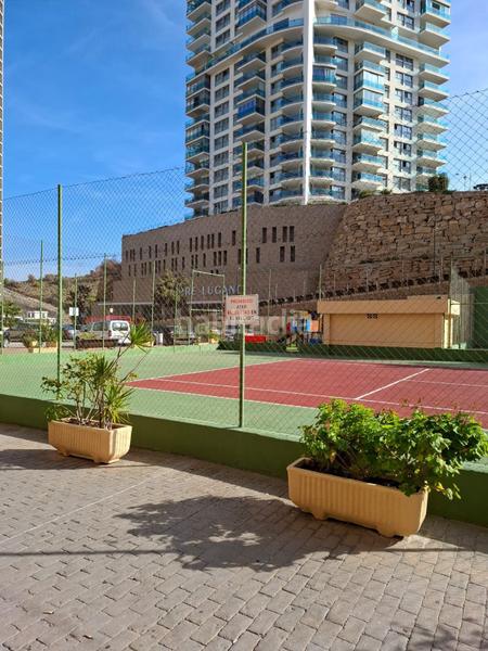 Foto 8e1b0807-2887-4d31-9a67-e92fa6516f03. Alquiler piso se alquila estupendo piso de 2 habitaciones en Benidorm