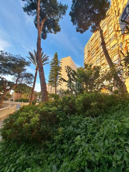 Foto 37efbedd-4dd7-483e-b93c-3af1f8dcde0b. Appartement avec piscine dans Rincón Alto Benidorm