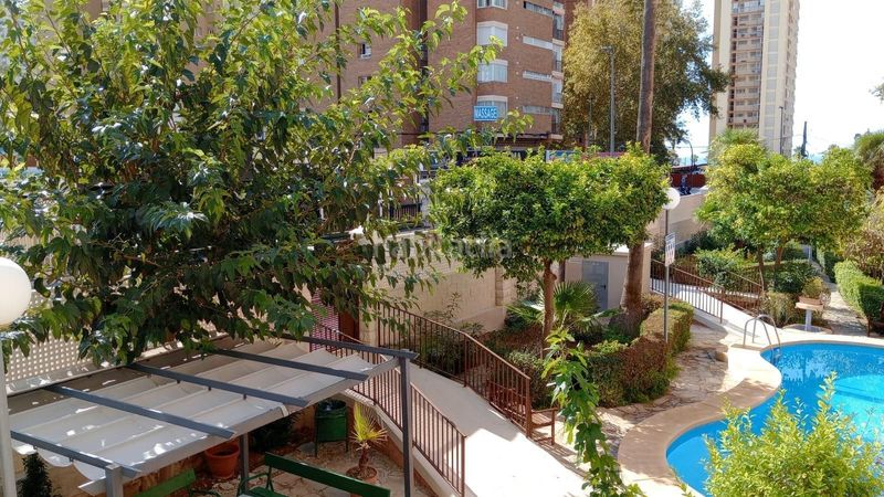 Foto 4af26a22-476c-412b-9145-8ca676d37e1a. Apartament amb piscina a Playa Levante Benidorm