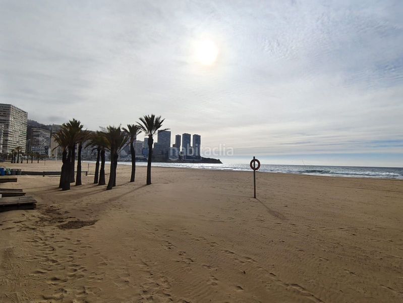 Foto 04fd8468-7bde-4875-bfc7-e75c984ed195. Estudi amb piscina a Playa Levante Benidorm