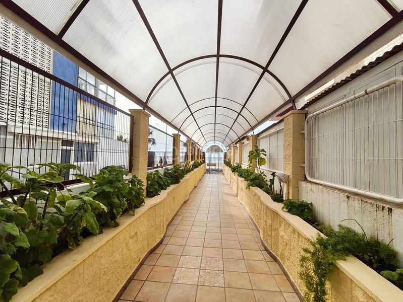 Foto 071285a4-3f98-48e5-bd74-6bc70caa81c0. Estudi amb piscina a Playa Levante Benidorm