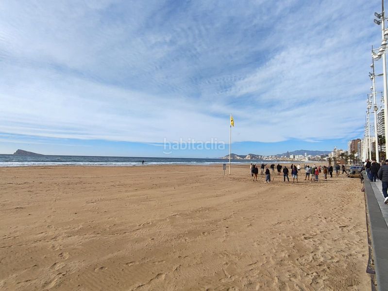 Foto 5bfba09c-fa89-4320-92d4-f25cf6a23dc0. Estudi amb piscina a Playa Levante Benidorm