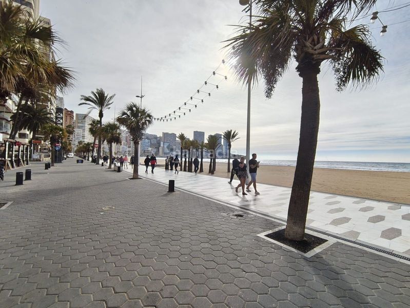 Foto a07450c9-7e31-4d0b-b1b5-607dc3fde884. Estudi amb piscina a Playa Levante Benidorm