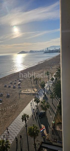 Foto bf5c043e-afcb-4d43-b978-e11bfe1396f4. Pis amb piscina a Playa Levante Benidorm