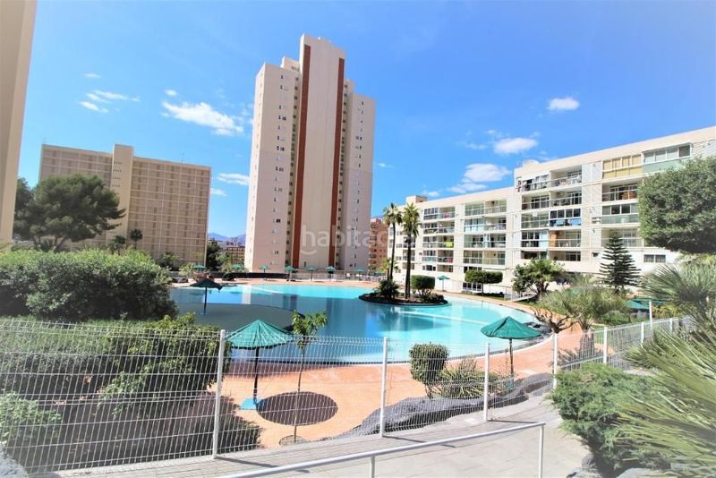 Foto c9e85f5d-5bb2-492a-97b6-7e068b443bf6. Pis amb piscina a Rincón Alto Benidorm