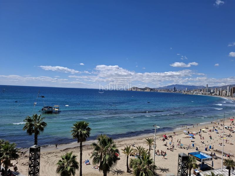 Foto 07cd03f8-a8e8-4da6-a569-ed98994d05d1. Pis a Rincón Alto Benidorm