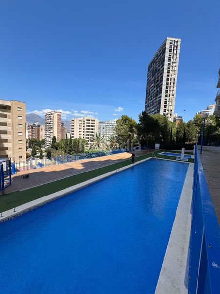 Foto dd3f6abb-09e8-47b7-b565-f8b038de5086. Apartament amb piscina a Rincón Alto Benidorm