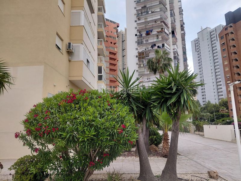 Foto cb2639c4-7759-4dbb-a837-942f3da0d728. Pis amb piscina a Rincón Alto Benidorm