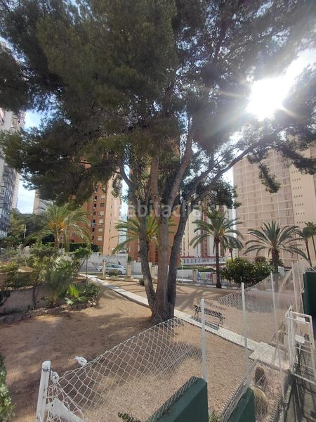 Foto 39e969a4-1d8a-4b41-b40c-11343da8c803. Apartament amb piscina a Rincón Alto Benidorm