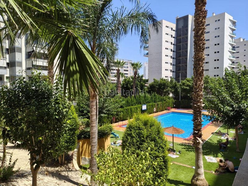 Foto 072e17d0-95bf-48f6-8137-2a23816dece1. Pis amb piscina a Mirador de la Cala-Benimar Vila Joiosa (la)