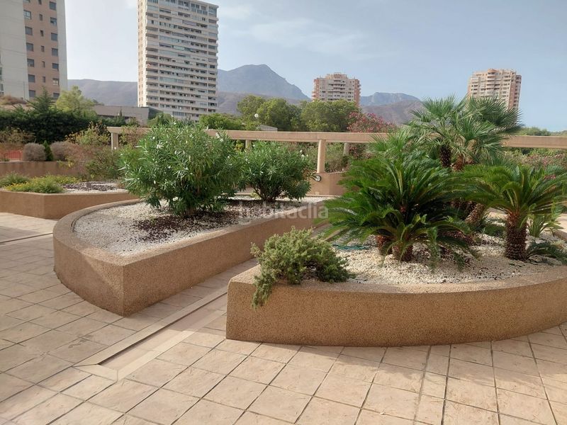 Foto 92402869-3b86-4a23-83c0-7ad753643a97. Apartament amb piscina a Via Parque Benidorm